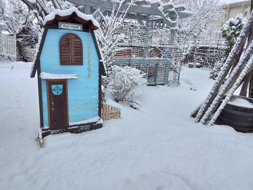 《バラ庭》冬休みブログ～・・冬眠から覚めたけど、雪！雪！雪です・・・