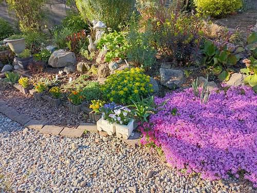 《バラ庭》ガーデンワーク~バラ庭から宿根草の庭へ~♪