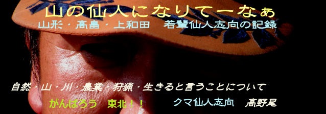 山の仙人になりてーなぁ~