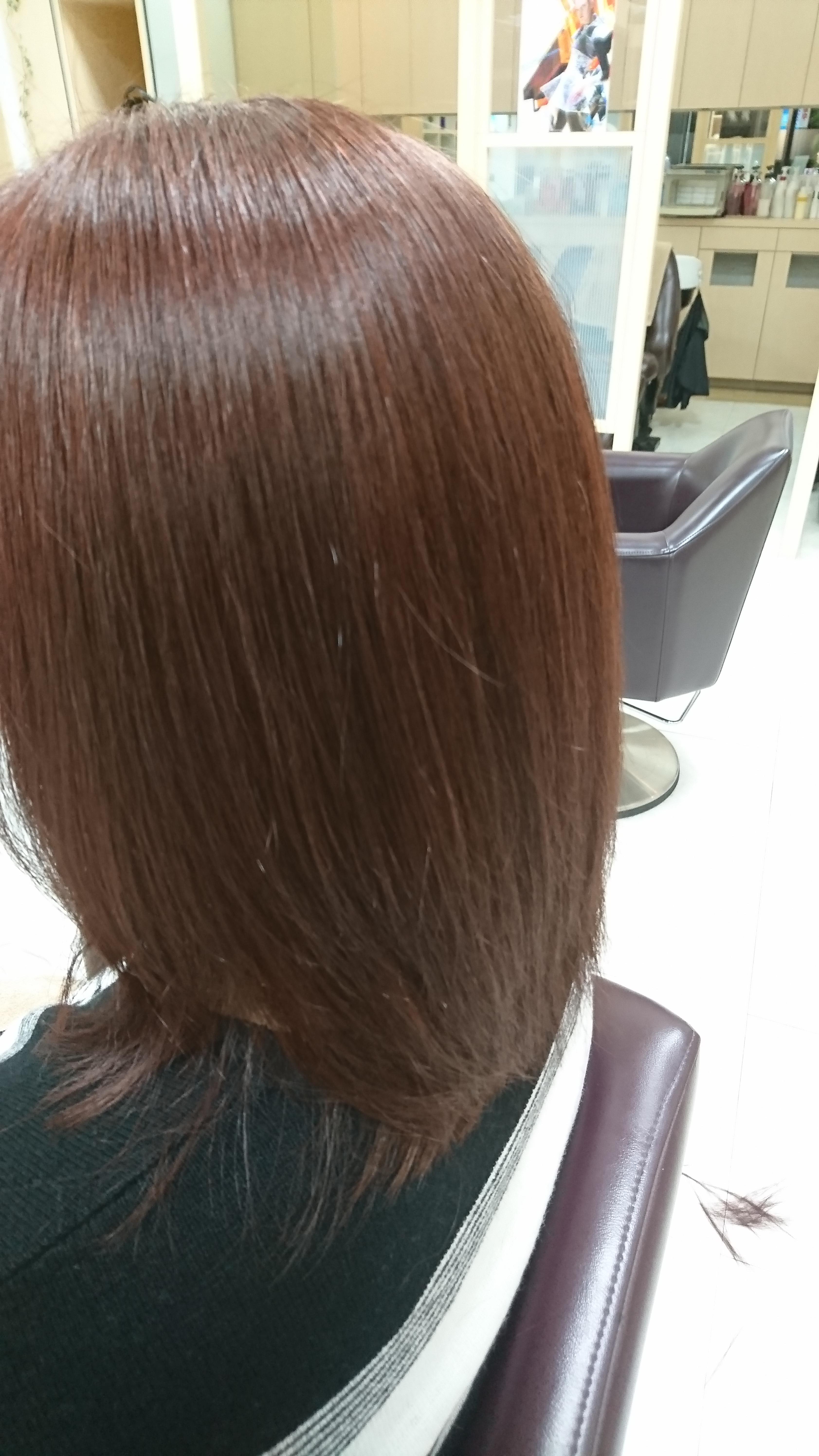 新メニュー TOKIOインカラミ大好評