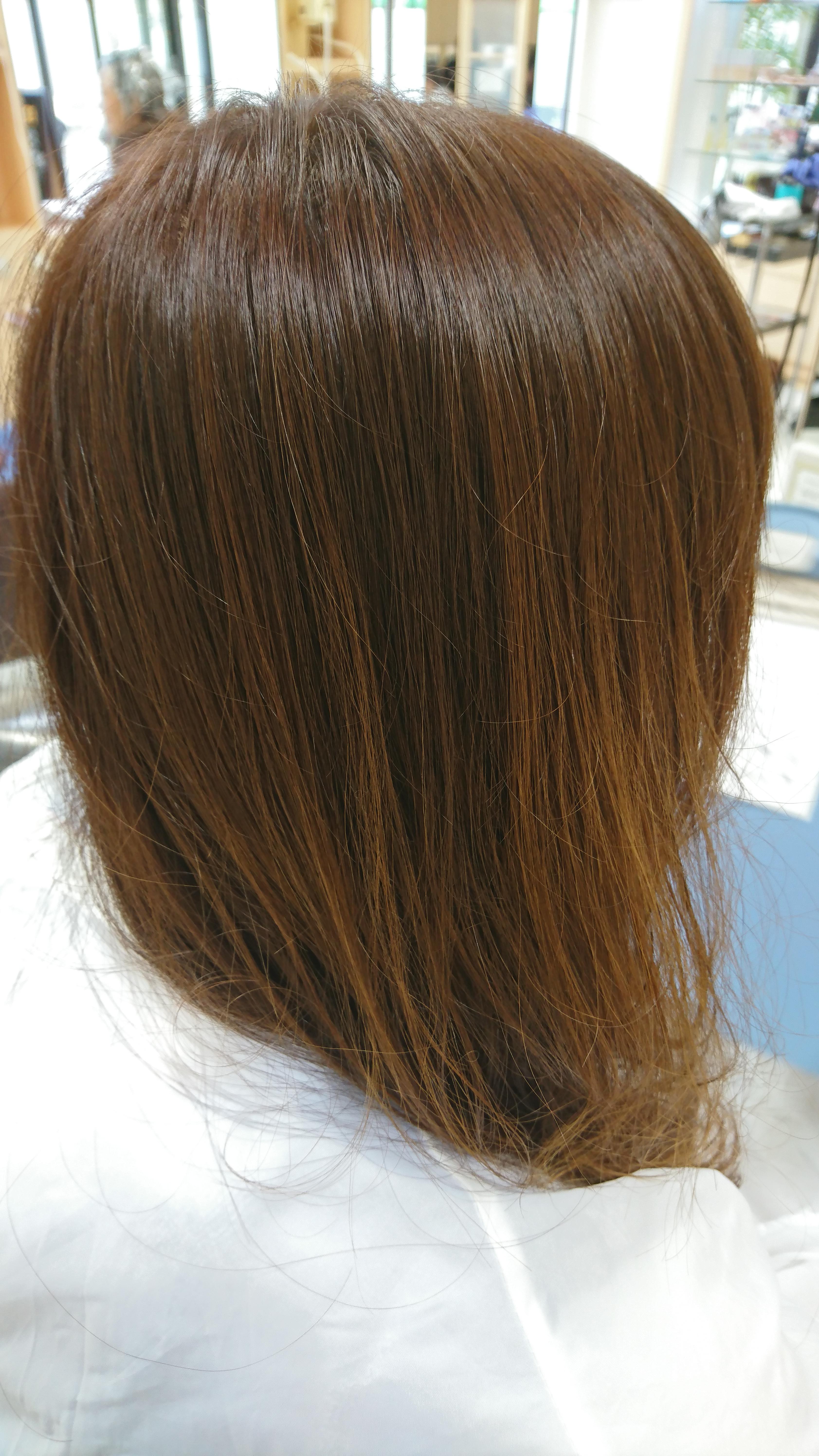 新メニュー TOKIOインカラミ大好評